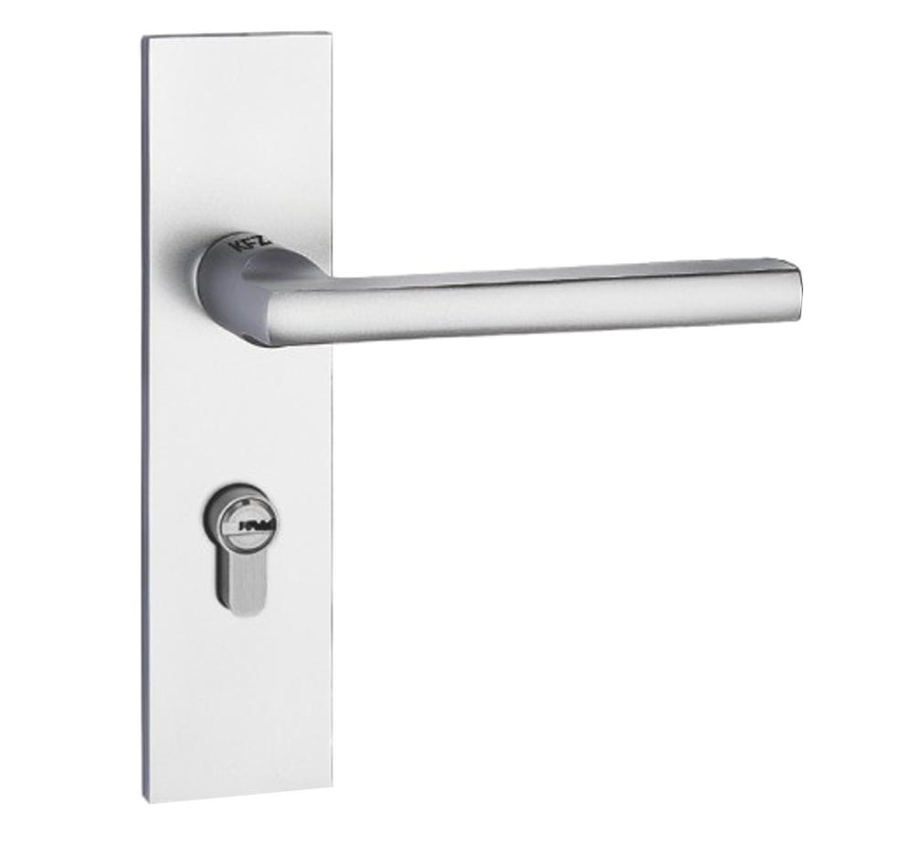 Poign&eacute;e de porte &agrave; charni&egrave;re 